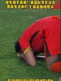 错失扳平良机！泰国队禁区送点 #费南多 点射直接打飞 痛苦跪地抱头自责#国足vs泰国 #足球的魅力#国足世预赛 #球季