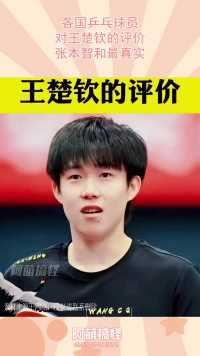 各国乒乓球员，对王楚钦的评价，张本智和最真实