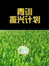 足球青训振兴计划怎么看？#青训
