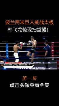 波兰巨人身高两米，来华挑战太极传统武术，结果被扫堂腿教做人！#太极#散打#搏击 (1)