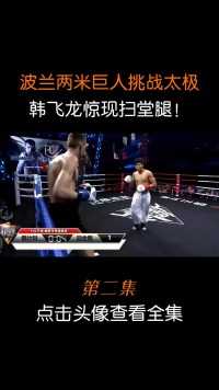 波兰巨人身高两米，来华挑战太极传统武术，结果被扫堂腿教做人！#太极#散打#搏击 (2)